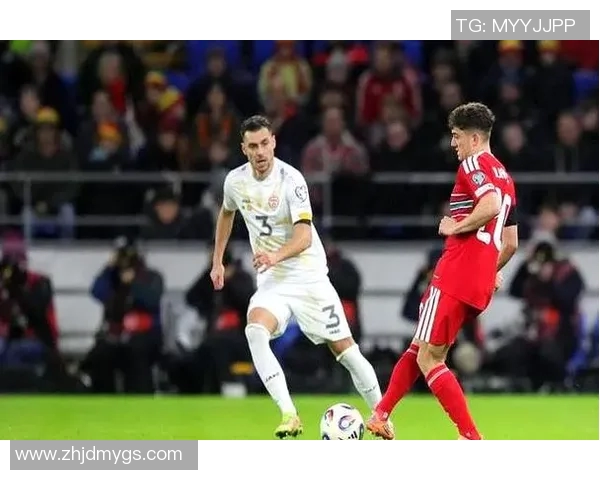 世欧预赛精彩对决波兰迎战黑山球队争夺晋级机会 世欧预赛精彩对决波兰迎战黑山球队争夺晋级机会