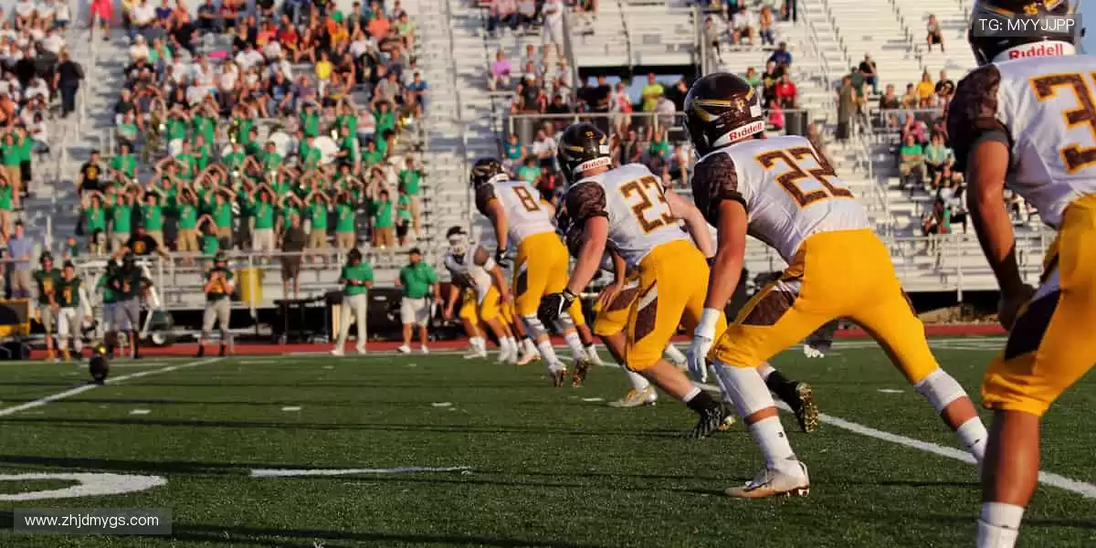 🎯 装备升级，战力翻倍！专业运动周边，为热爱保驾护航💪